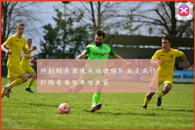 热刺财务困境或迫使球队放走武什科维奇面临艰难决策